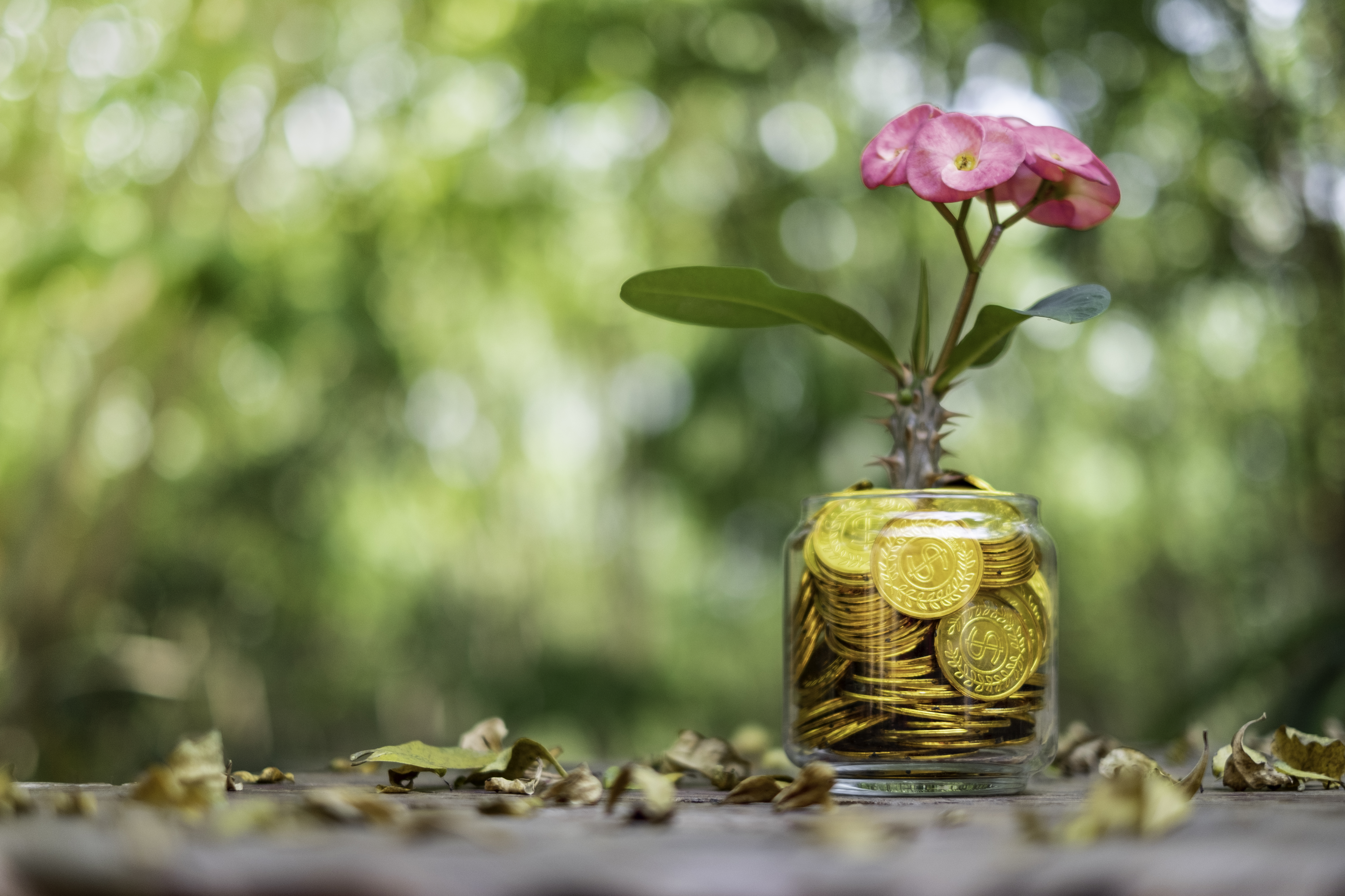  The ROI of Wellbeing: Why Investing in Mental Health Makes Business Sense 